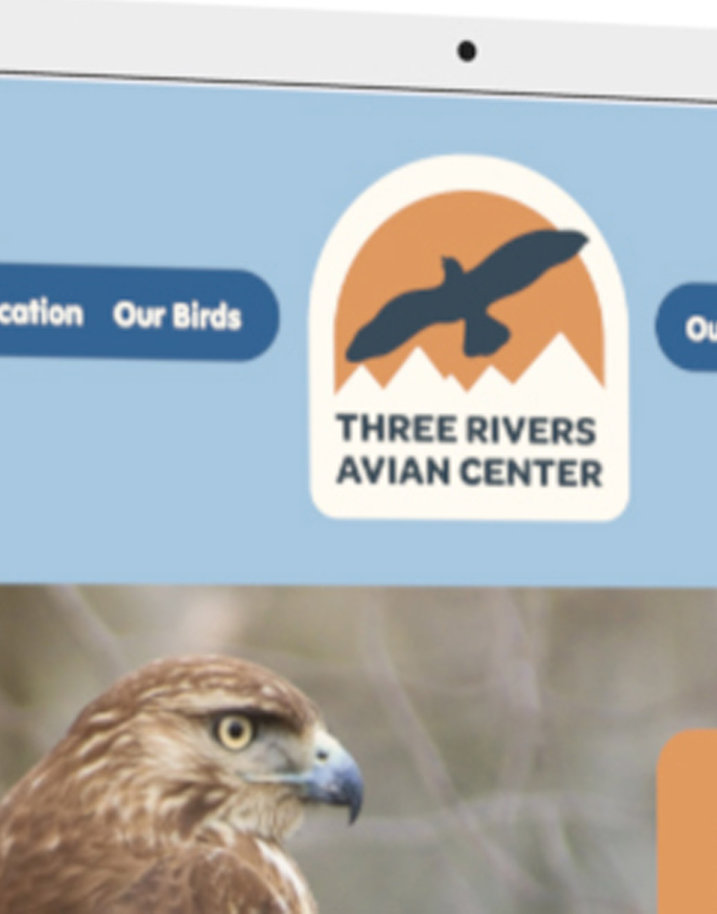 Cropped image of  the logo in the navigation bar on the TRAC website homepage